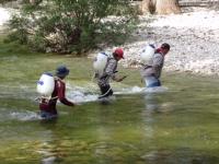 2018_invasive_donax_eradication_1