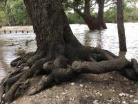 2018_oct_08_riverrise_img_4297