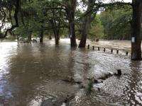 2018_oct_08_riverrise_img_4304