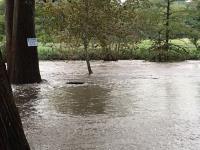 2018_oct_08_riverrise_img_4307