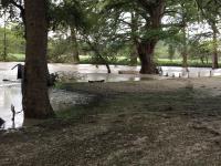 2018_oct_08_riverrise_img_4308