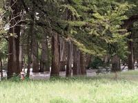 2018_oct_08_riverrise_img_4310