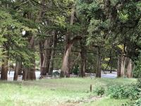 2018_oct_08_riverrise_img_4312_002