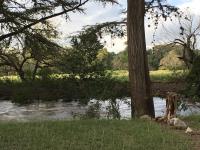 2018_oct_08_riverrise_img_4427_009