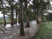 2018_oct_08_riverrise_img_4427_012