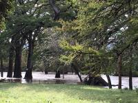 2018_oct_08_riverrise_img_4427_013