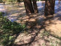 2018_oct_08_riverrise_img_4427_014