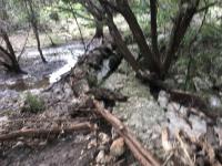 2018_oct_08_riverrise_img_4427_015