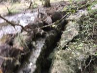 2018_oct_08_riverrise_img_4427_017