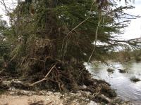 2018_oct_08_riverrise_img_4427_020