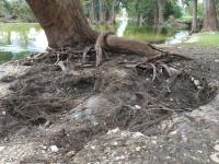 2018_oct_08_riverrise_img_4427_021