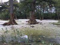 2018_oct_08_riverrise_img_4427_024