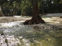 2018_oct_08_riverrise_img_4427_027