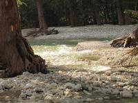 2018_oct_08_riverrise_img_4427_028