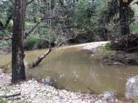 2018_oct_08_riverrise_img_4427_032