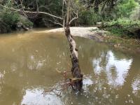 2018_oct_08_riverrise_img_4427_033