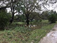 2018_oct_08_riverrise_img_4427_034