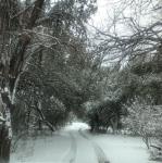 3_cathedral_with_snow_feb_21