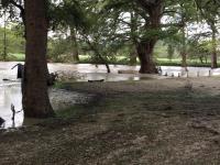 cathedral_river_rise_4