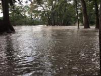 cathedral_river_rise_5