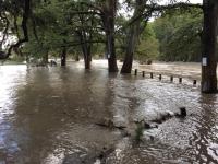 cathedral_river_rise_6