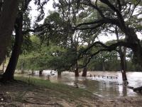 cathedral_river_rise