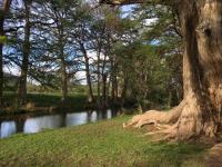 frio_river_park_0503