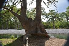 frio_river_park_5065