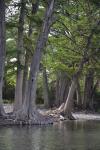 frio_river_park_5074